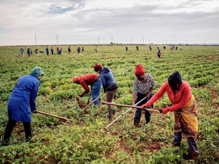 Why Trump’s ‘White Farmer Refugees’ Narrative May Accidentally Help South Africa